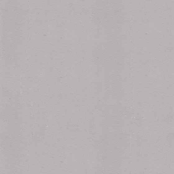 Gray Wall Paints and Coatings 3D Model for New Interiors