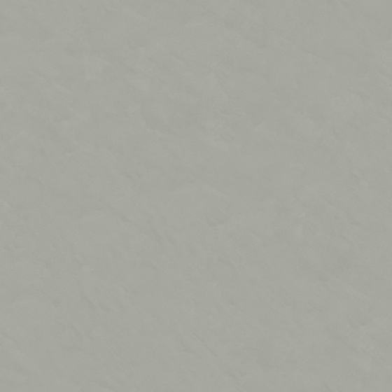 Wall Paint 3D Model in Gray