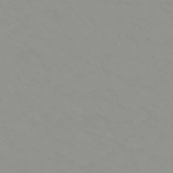 Wall Paint 3D Model in Gray