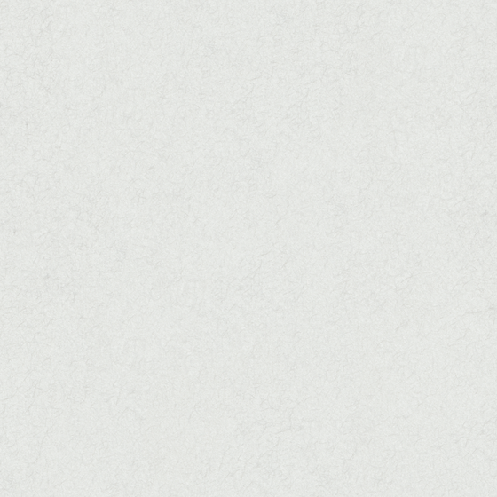 Chic White Silk Brocade Wall Paint 3D Model