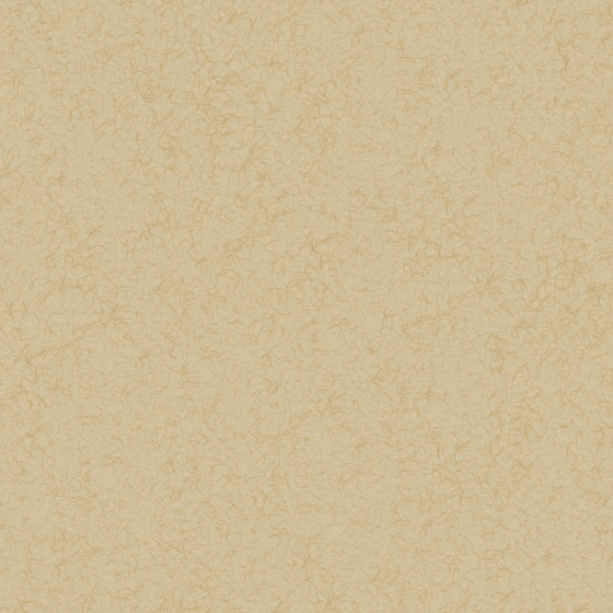 Wood Color Wall Paint 3D Model