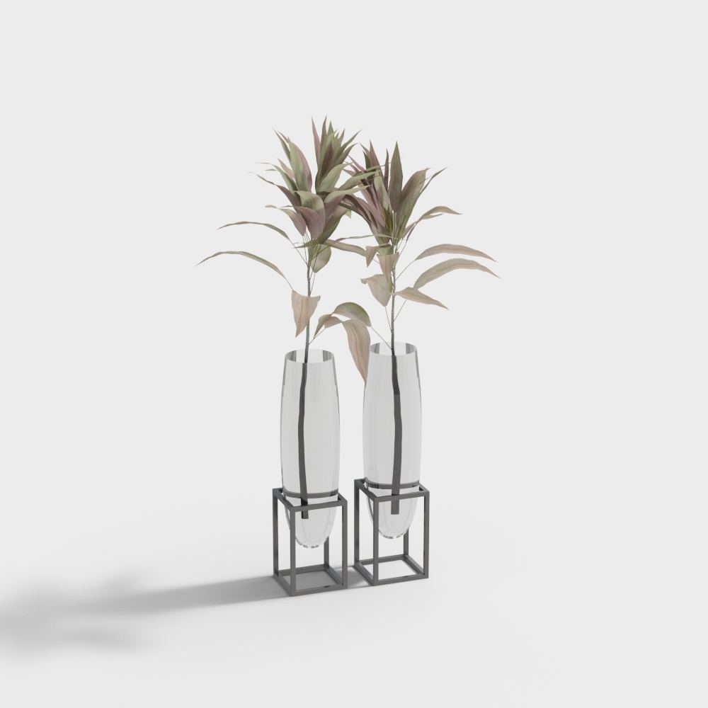 植物组合