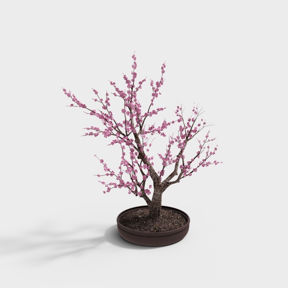 盆景盆栽Nearly Natural 15-Inch Cherry Blossom Bonsai Tree1