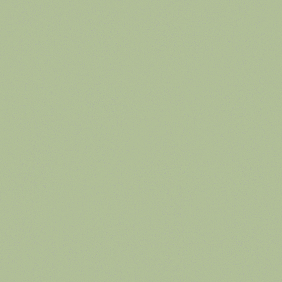 Wall paint/paint