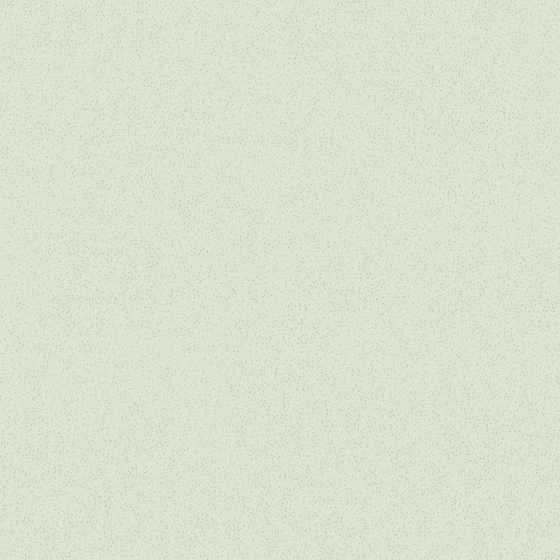 Wood Color Wall Paint for Natural Aesthetics