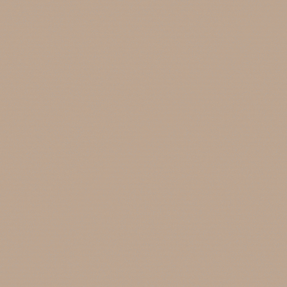 Wall paint/paint