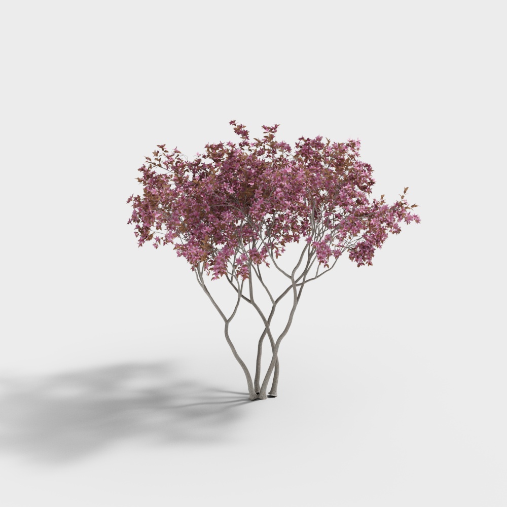现代树-紫薇树23D模型
