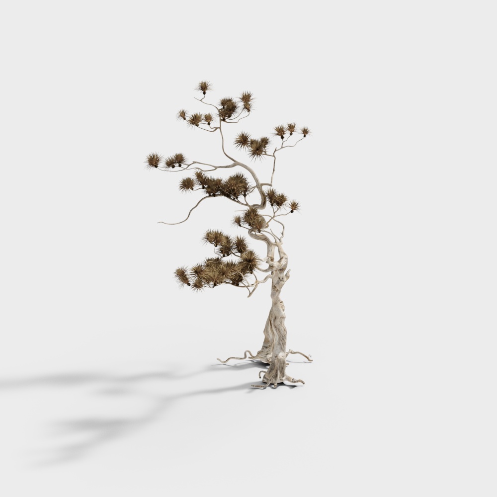 新中式景观植物-松树3D模型