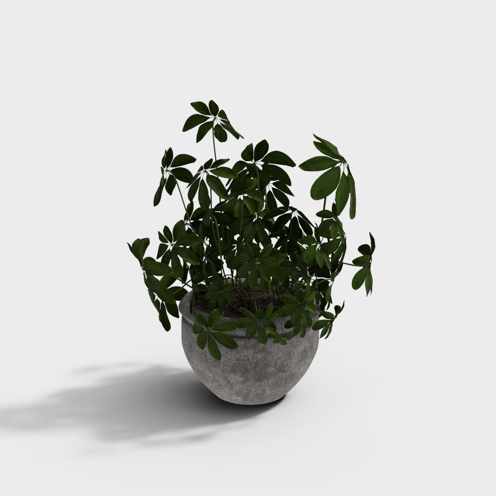 现代绿植仙人掌盆栽-绿色盆栽3D模型