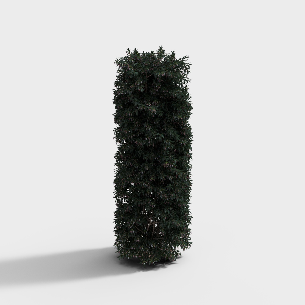 现代绿植绿篱灌木-竖形灌木3D模型