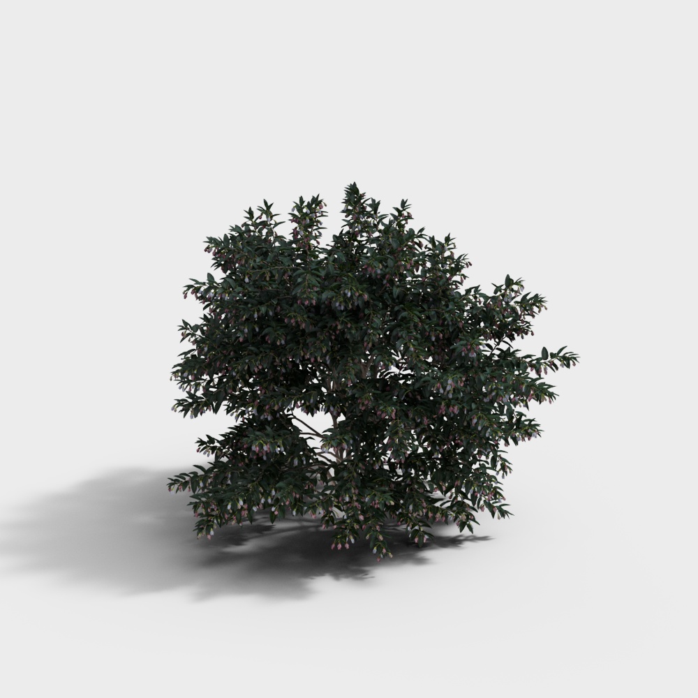 现代绿植绿篱灌木-绿篱灌木3D模型
