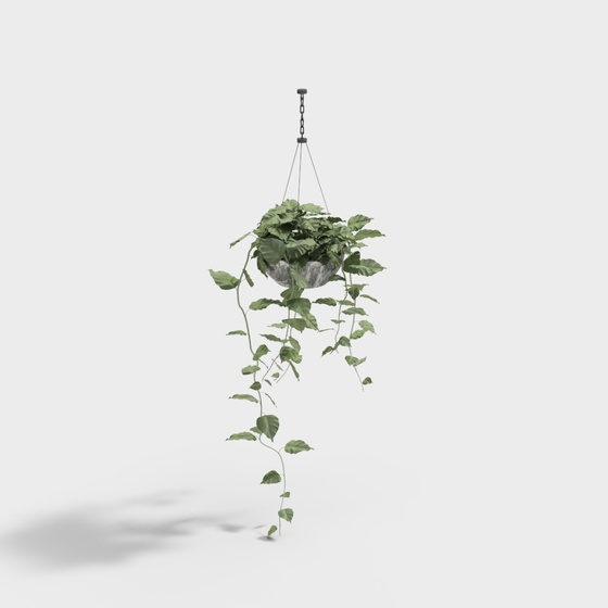 Elegant Black Hanging Basket