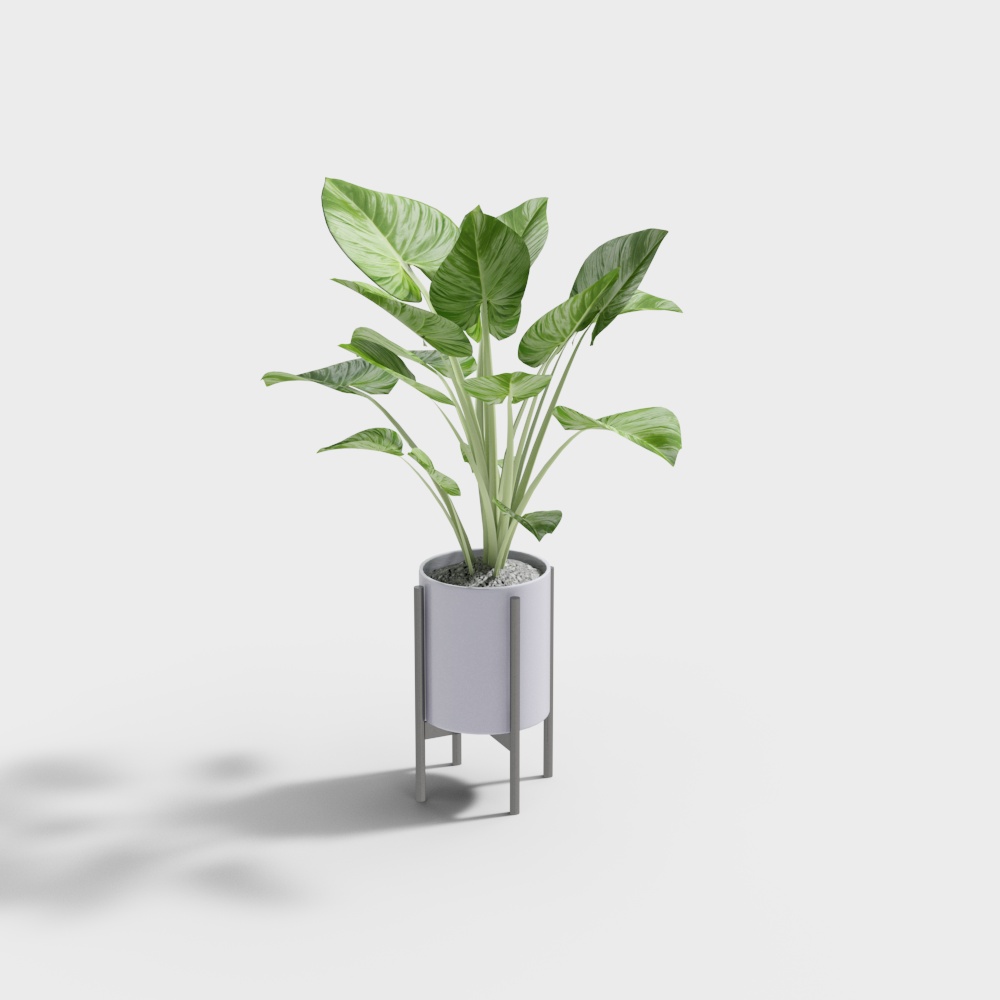 现代女装店装饰道具3D模型