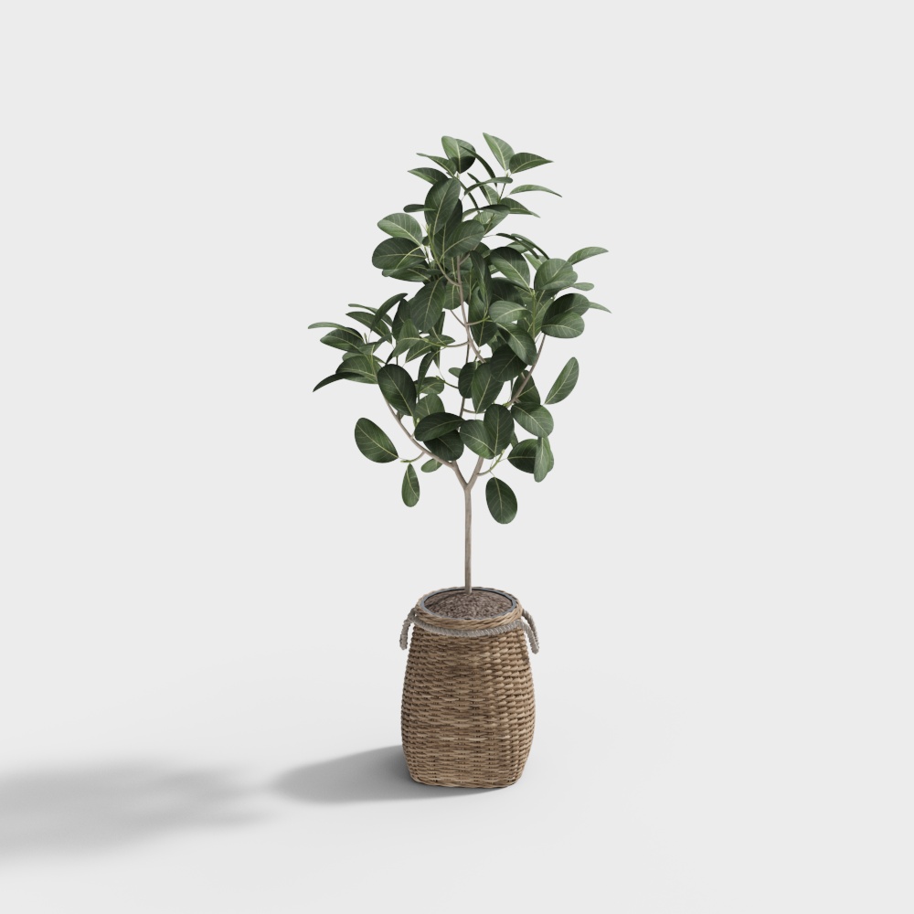 现代火锅店2-植物摆件