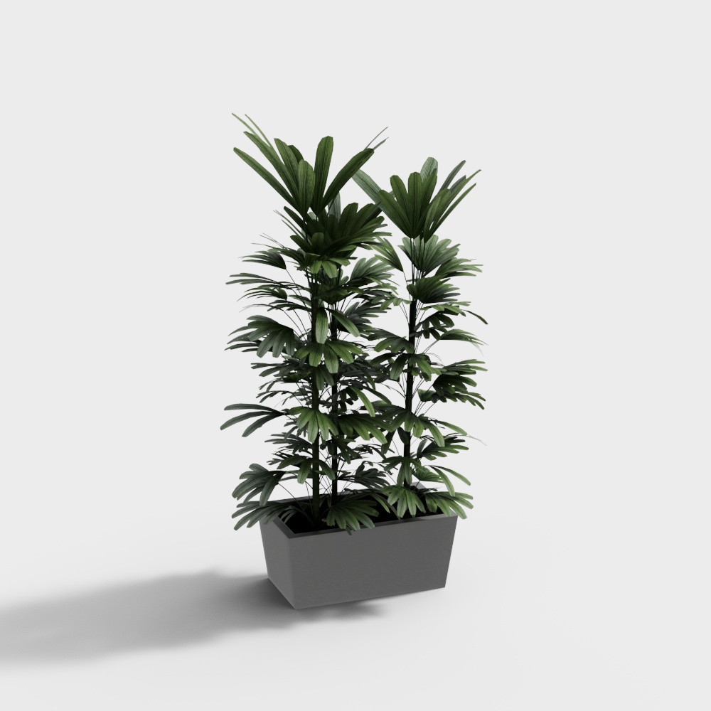 现代植物盆栽盆景-盆栽3D模型