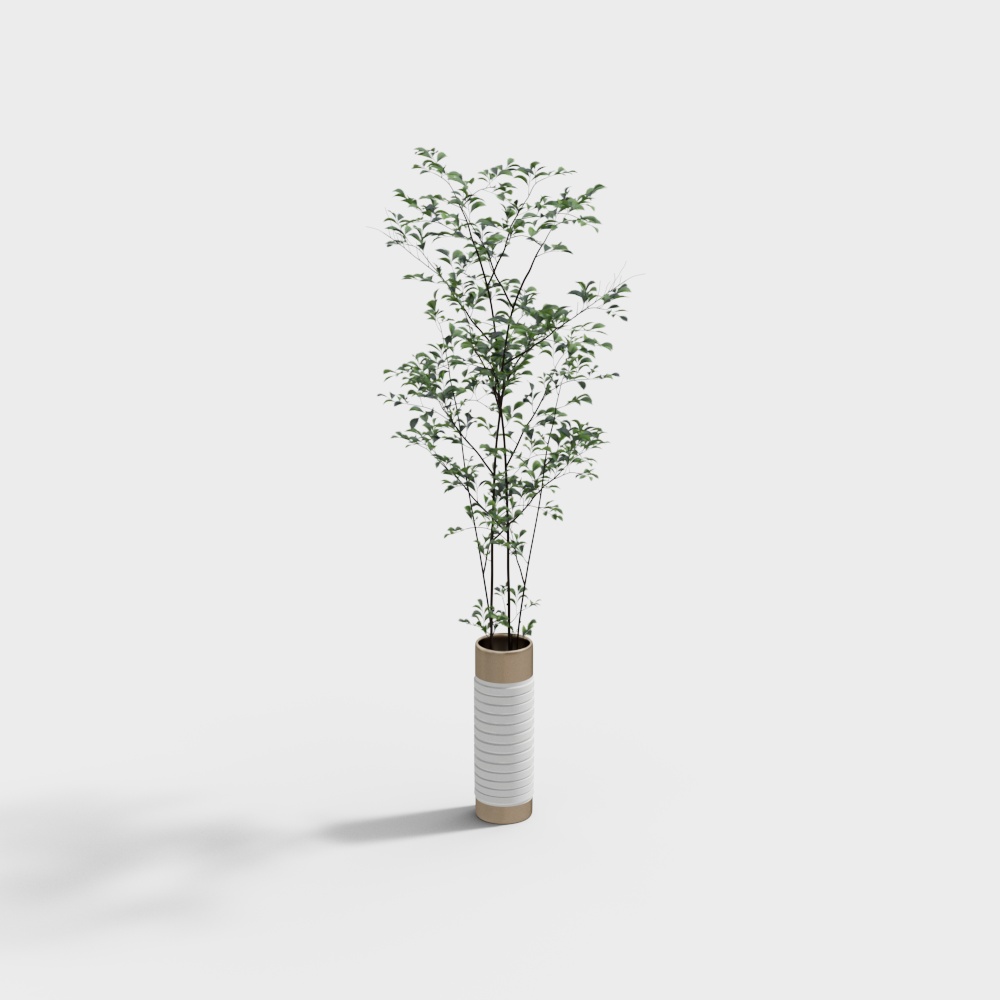 现代绿植盆栽3-白色细高花瓶