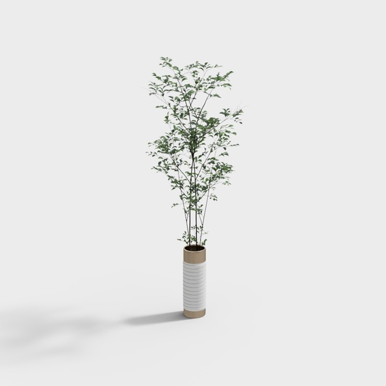 Modern Potted Bonsai,Potted Bonsai,Earth color