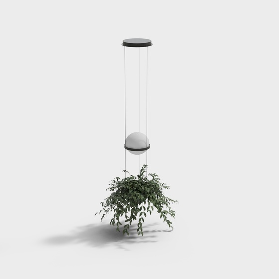 Modern Bracketplant,Bracketplant,green