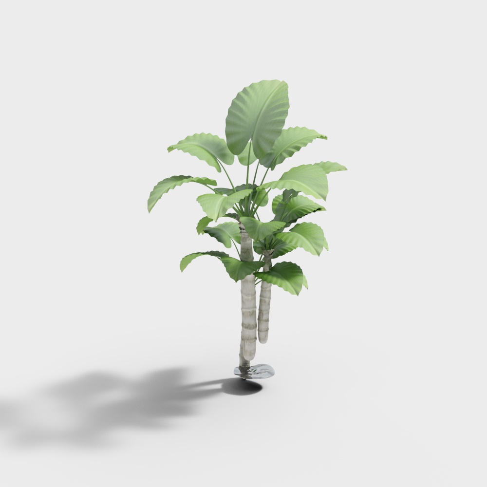 CJ-326685绿植3D模型