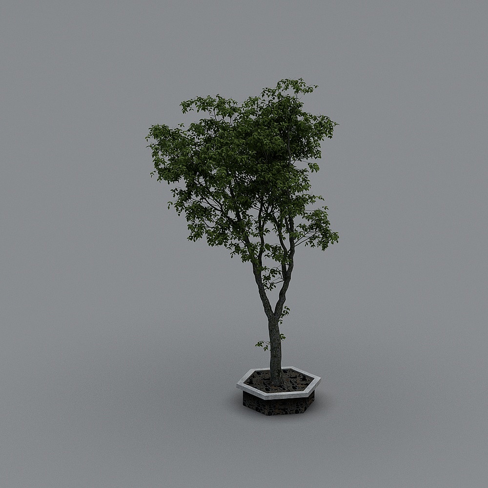 禅意茶室-树木3D模型