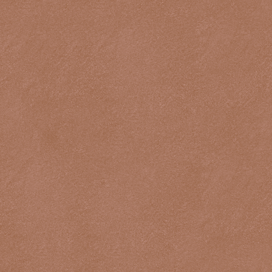 Carpoly Viffertino Brush 45 3D Model in Earth Color for Painting