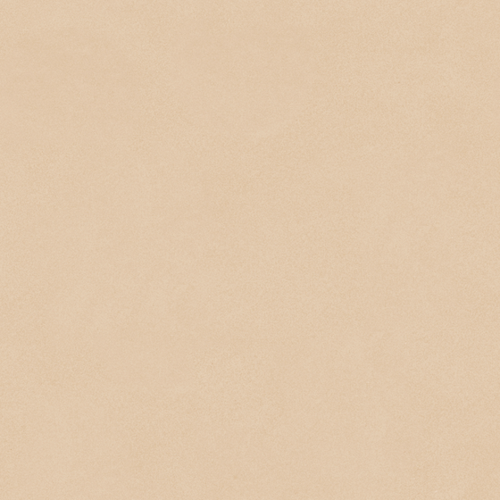 Carpoly microcement MS-06 (fine sand)