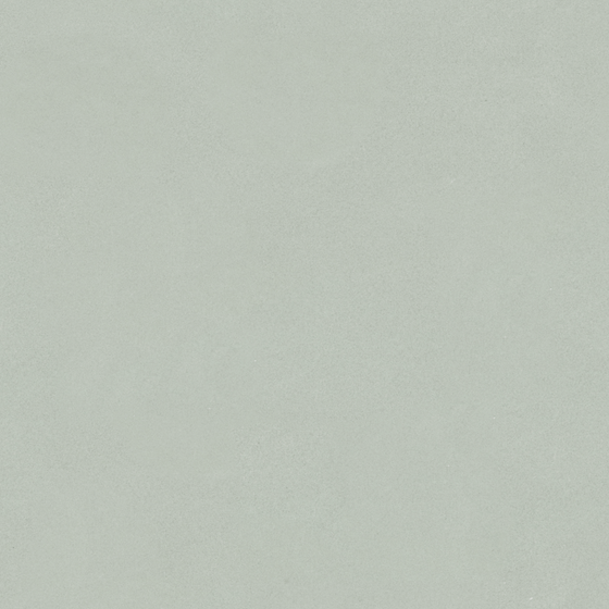 Carpoly Microcement MS-16 3D Model in Earth Color for Wall Paint