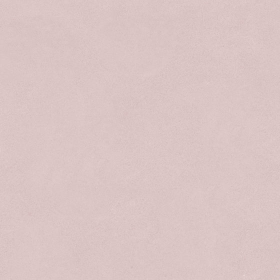 Carpoly Microcement MS-15 3D Model in Earth Color