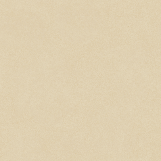 Carpoly Microcement MS-10 (fine sand)