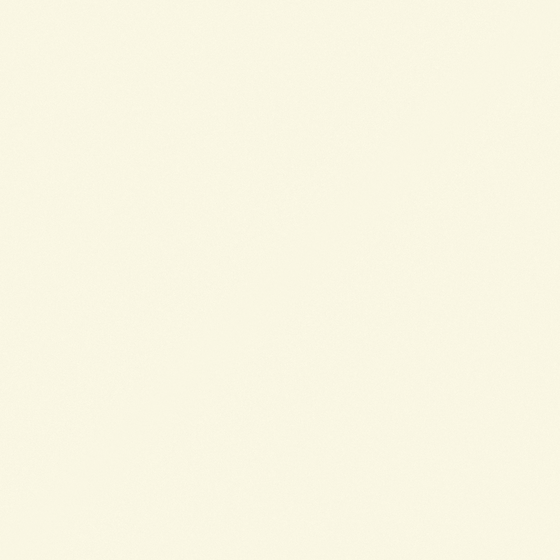CP 40YL10-93 soybean milk
