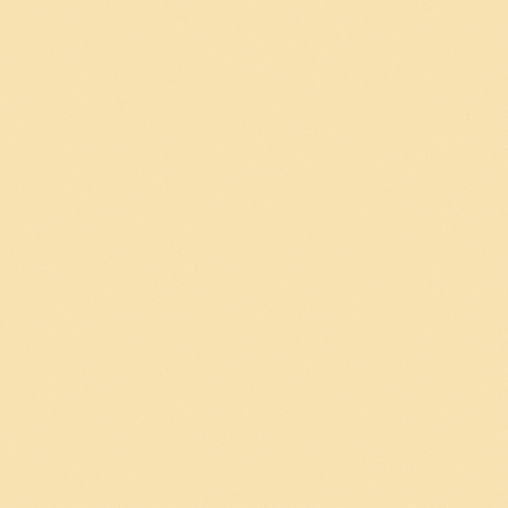 Dried Yellow Peach Paint 3D Model