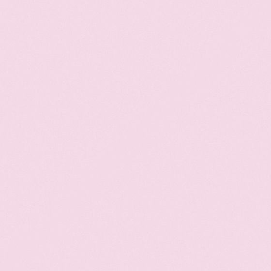 Dog Rose Paint 3D Model in Pink