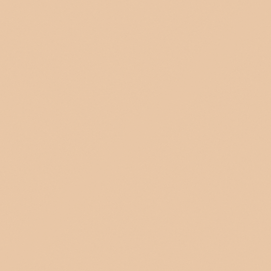 Wood Color Craft Paint 3D Model for Artistic Spaces