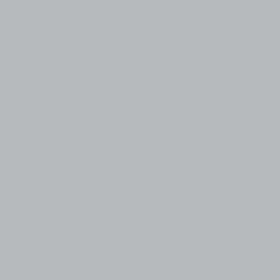 Chinchilla Gray Wall Paint 3D Model
