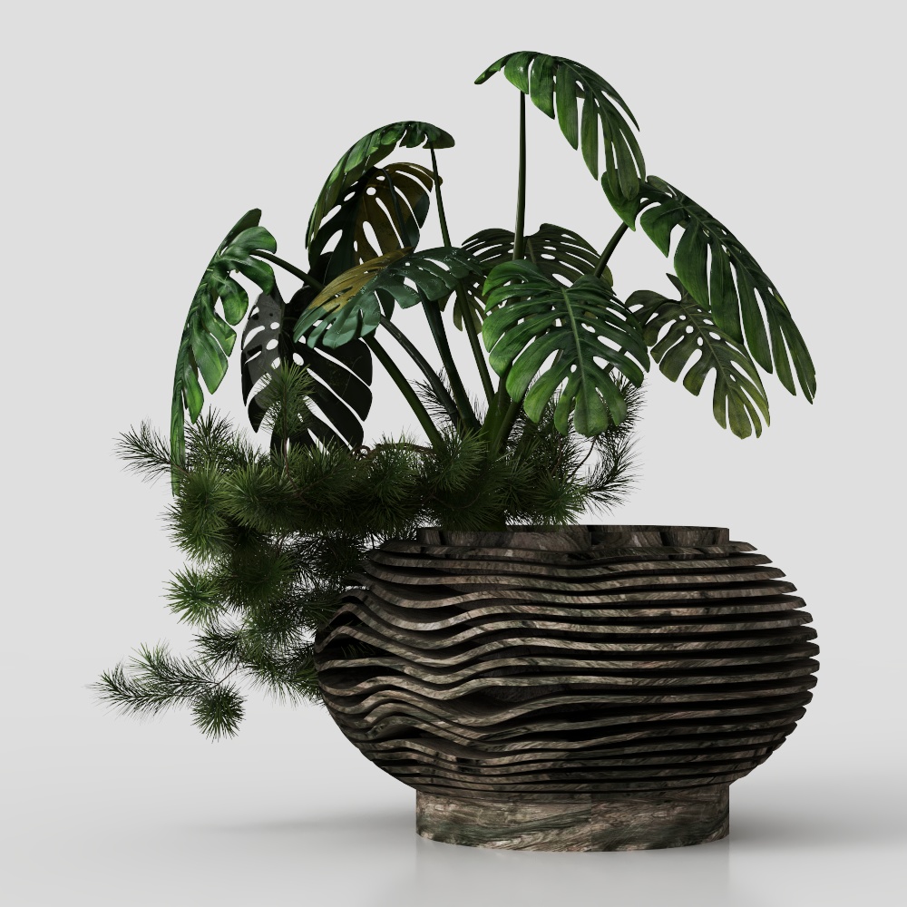 绿植盆栽