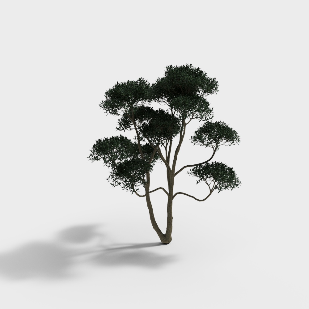 27-景观树