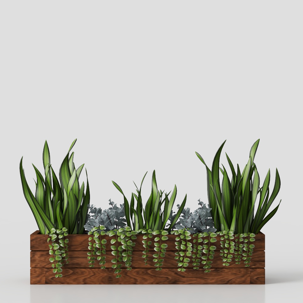 现代花坛