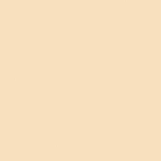 Warm Wood Color CP 15YL21-88 Wall Paint