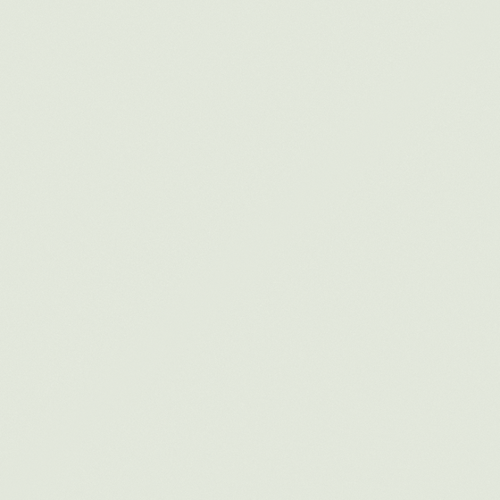Charming Green Wall Paint 3D Model – Rainforest Dew
