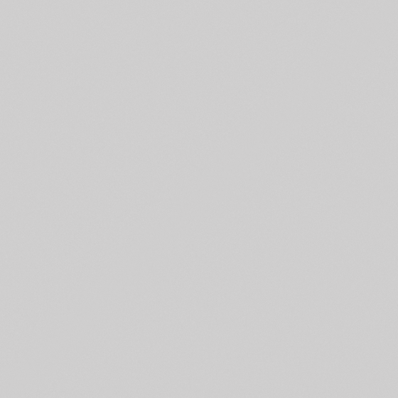 Artistic CP Feather Paint in Gray 3D Model