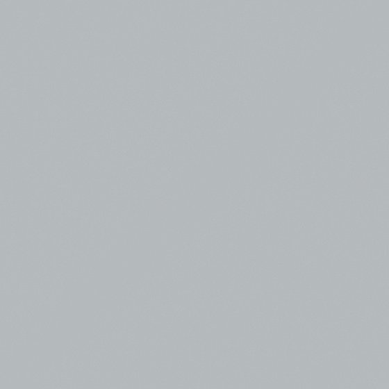 Chinchilla Gray Paint 3D Model in Gray