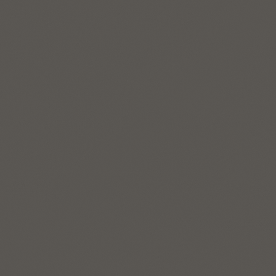 CP 91RD04-38 Black Oak