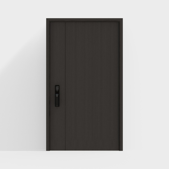 Modern Exterior Doors,Black