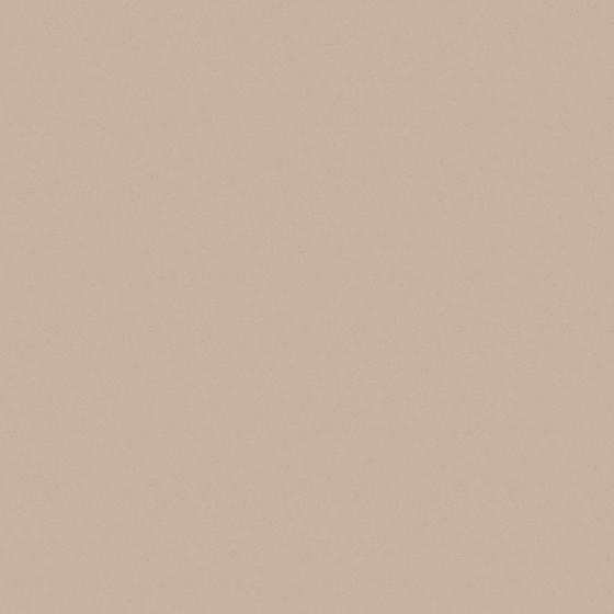 Wall Paints/Coatings 3D Model in Wood Color