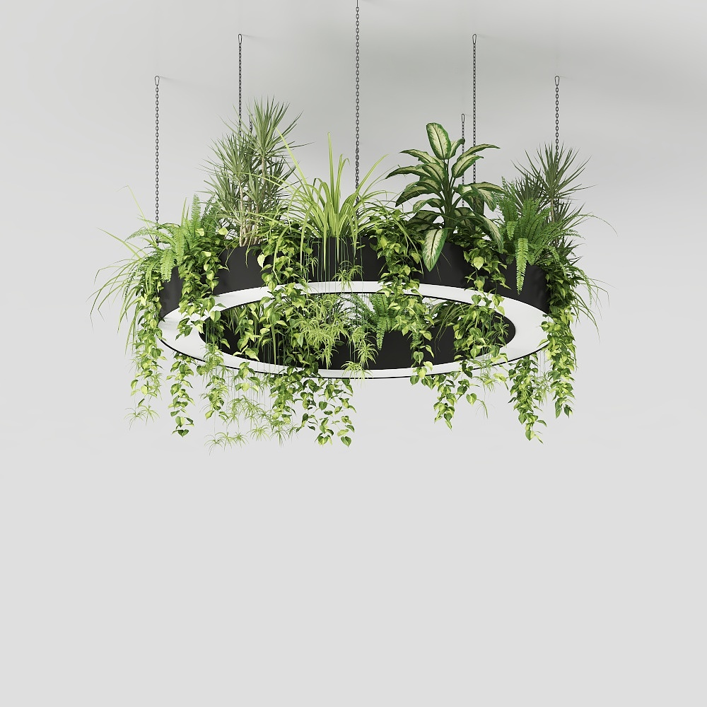 圆形植物吊灯