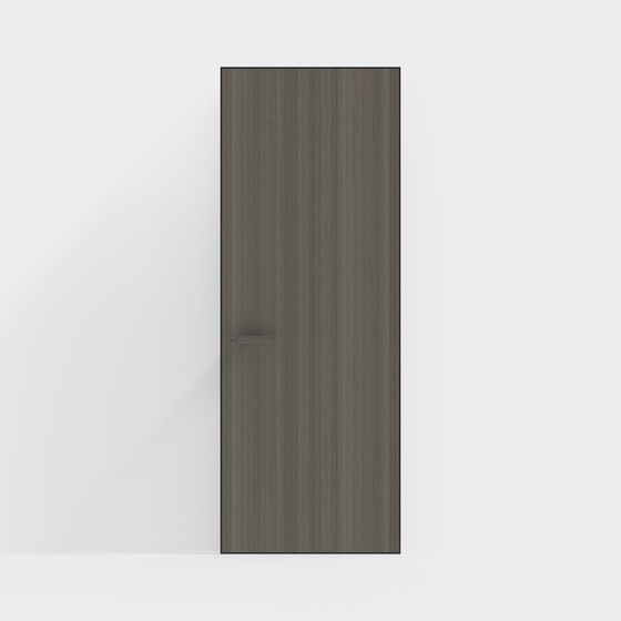 Modern minimalist ghost door