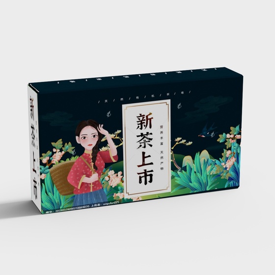 Supermarket Tea Gift Box 3D Model in Green
