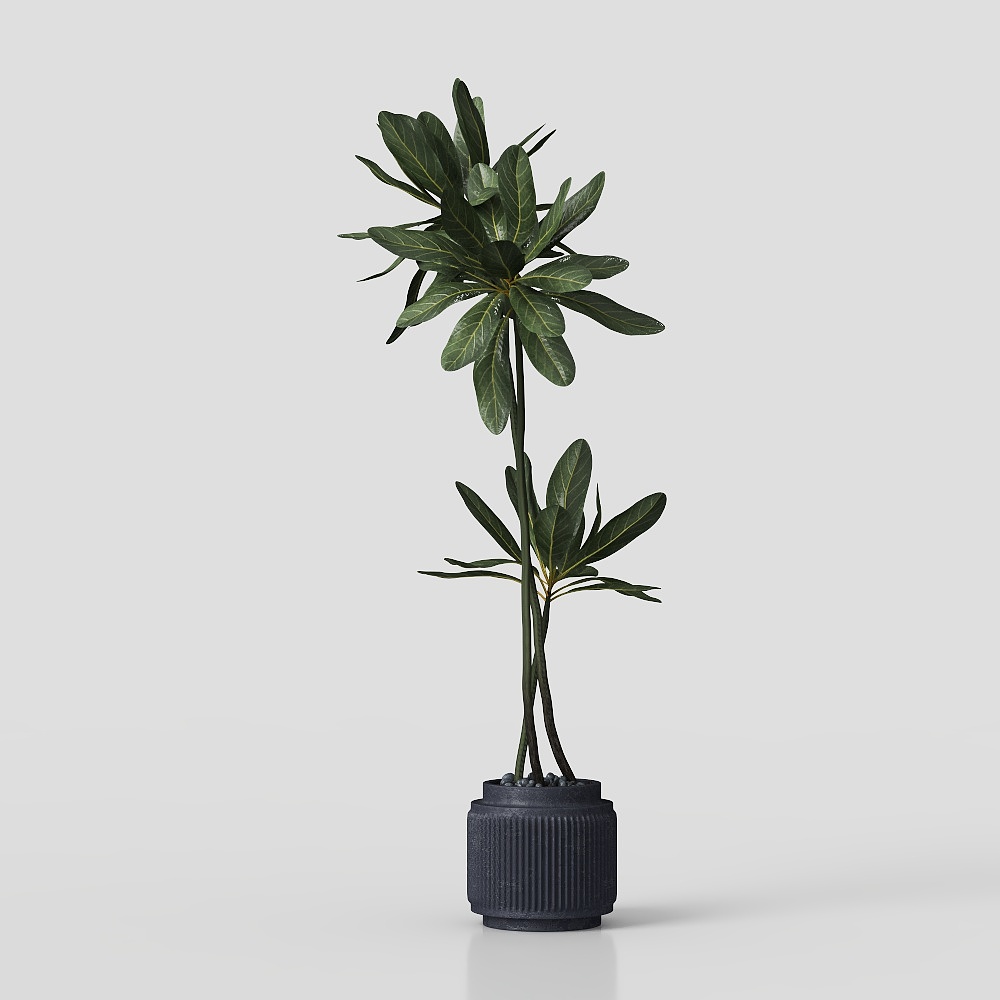 侘寂绿植摆件