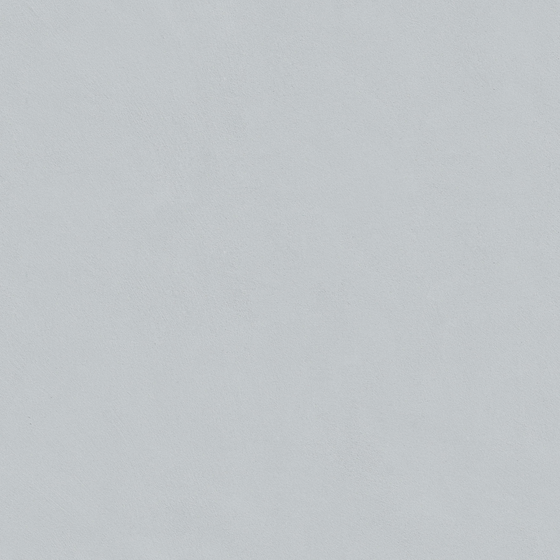 Misty Fog _ WG-318 Ash Gray